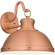 Jameson One Light Outdoor Wall Mount in Aged Copper (10|JAM8414AC)
