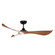 Keanu 56'' Ceiling Fan in Black / Walnut (16|88754BKWN)