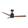 Falcon 52'' Ceiling Fan in Black / Walnut (16|88708BKWN)