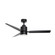 Falcon 52'' Ceiling Fan in Black (16|88708BK)