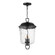 Prescott Three Light Outdoor Pendant in Dark Bronze (16|34213WGDBZ)