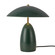 Poppy LED Table Lamp in Pine Green (452|TL437012PGN)
