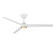 Pisces 54'' Ceiling Fan in Soft Brass/Matte White (441|FR-W2503-54L-SB/MW)