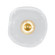 Embark LED Wall Sconce in Gold Leaf/Clear (48|100059-33)