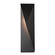 Carbon One Light Outdoor Wall Sconce in Coastal Burnished Steel (39|302042-SKT-LFT-78)