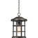 Crusade One Light Outdoor Hanging Lantern in Palladian Bronze (10|CSE1910PN)