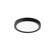 Slim Fit Slim Fit 5'' in Black (303|SL5-5CCT-BK)