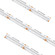 High Output COB Tape Light (303|HTL-COB-PXLRGBW-16)