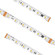 High Output Tape Light (303|HTL20-PXL-RGBW6-24VDC-16)