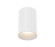 Whiskey LED Flushmount in White (40|WHSS02BR6021330MCL)