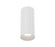 Whiskey LED Flushmount in White (40|WHSS02BR10021330WCL)