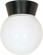 One Light Ceiling Mount in Black (72|SF77-157)