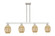 Arcadia Four Light Island Pendant in Brushed Satin Nickel (405|716-4I-SN-G459-6ME)