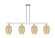 Arcadia Four Light Island Pendant in Brushed Satin Nickel (405|716-4I-SN-G457-6ME)