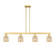 Arcadia Four Light Island Pendant in Satin Gold (405|716-4I-SG-G559-5ME)