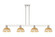 Arcadia Four Light Island Pendant in Polished Nickel (405|716-4I-PN-NBD2-75-NAT)