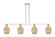 Arcadia Four Light Island Pendant in Polished Nickel (405|716-4I-PN-G459-6ME)