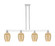 Arcadia Four Light Island Pendant in Polished Chrome (405|716-4I-PC-G457-6ME)