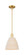 Arcadia One Light Mini Pendant in Satin Gold (405|716-1S-SG-NBD-9-NAT)