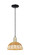 Arcadia One Light Mini Pendant in Black Antique Brass (405|716-1P-BAB-NBD2-9-NAT)