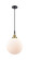Caden One Light Mini Pendant in Black Antique Brass (405|447-1P-BAB-G201-12)