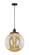 Franklin Restoration One Light Mini Pendant in Matte Black (405|201CSW-BK-G208-14)