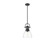 Duncan One Light Pendant in Matte Black (62|3604-S BLK-CLR)