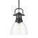 Duncan One Light Pendant in Matte Black (62|3604-S BLK-CLR)