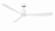 Kute 60 60'' Ceiling Fan in Matte White (26|FPD8560MW)