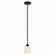 Jolie One Light Mini Pendant in Black (12|43640BK)