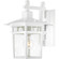 Cove Neck One Light Wall Lantern in White (72|60-4951)