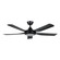 Swiftsure 52''Ceiling Fan in Matte Black (217|235041-5202A)