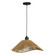 Lavister One Light Dual Mount Pendant or Ceiling in Black (217|206322A)