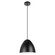 Sarabia One Light Pendant in Black (217|205419A)