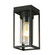 Walker Hill One Light Outdoor Ceiling Mount in Matte Black (217|203667A)