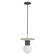Newport One Light Pendant in Brushed Brass / Black (192|HF1951-BB-BK)