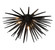 Trapani Three Light Ceiling Mount in Metallic Black (541|12058-06)