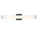 Ruvo LED Wall Mount in Anodized Brushed Black (541|10138-010)