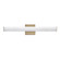 Rail 5CCT LED Bath Vanity in Natural Aged Brass (16|52152NAB)