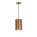 Shaka One Light Mini Pendant in Weathered Brass (16|29121WBR)