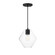 Geode One Light Pendant in Black (16|21336CLBK)