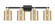 Arcadia Four Light Bath Vanity in Black Antique Brass (405|716-4W-BAB-G116)