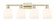 Arcadia Four Light Bath Vanity in Antique Brass (405|716-4W-AB-G558-6GWH)