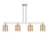 Arcadia Four Light Island Pendant in Brushed Satin Nickel (405|716-4I-SN-G116)