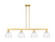 Arcadia Four Light Island Pendant in Satin Gold (405|716-4I-SG-GBD-754)