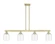 Arcadia Four Light Island Pendant in Antique Brass (405|716-4I-AB-G558-6CL)