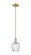 Arcadia One Light Mini Pendant in Champagne Bronze (405|716-1S-CB-G292)