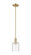 Arcadia One Light Mini Pendant in Champagne Bronze (405|716-1S-CB-G1113)