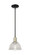 Arcadia One Light Mini Pendant in Black Antique Brass (405|716-1S-BAB-G422)