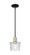 Arcadia One Light Mini Pendant in Black Antique Brass (405|716-1S-BAB-G402)